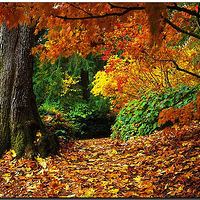 ������Ҵ������ӡ�̽����ɽ�ż���