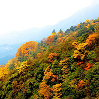 ��¿���ǣ���������ɽ������3.5����ǰ��ԭ��̬ϴ�� 