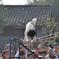 ũ����԰���湥�ԡ���ũ����԰��ͥһ����