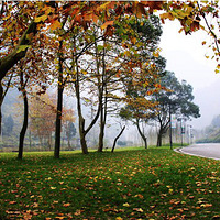 �߽�������ɽ���������龻��֮��