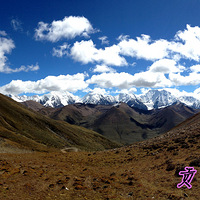 �����������������ź�---2012��������ͽ��