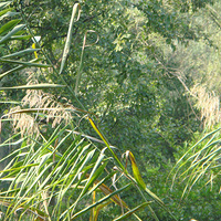 �����ߵ�«έ�ͺ�â