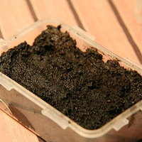 �＾������Բ�Ѫ�����������ʳ 