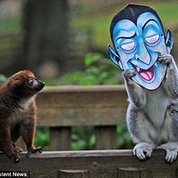 Ӣ����԰���Ӵ���ʥ�������ͬ��