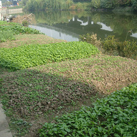 ��椼ҵĲ˵ء���С���ũ��