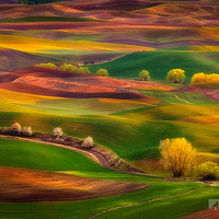 �����Ӱ�����������