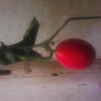 Ұ��һ����֪���ĺ��