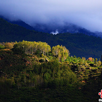 ��Ӱʦ��ͷ�µ���������