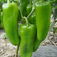 ά���Ӿ���ά����A