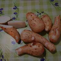 �������زˡ�������ܵ