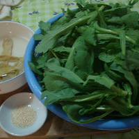 �������ز����ˡ�����˰����Ŷ