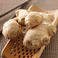 ʲô������������������ʳ��