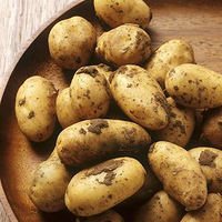 ��˥�ϻ����� �����������ĺô����������