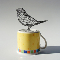 Ω��ΩФ����˿��������