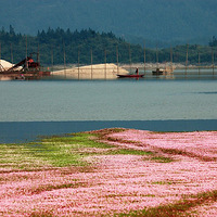 11��16-18��-�λ���ɫ-��Դʯ��-��Ϫ�Ŵ�