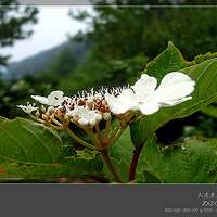 ������ᣨ2��