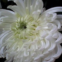 ������й��ջ��ߵ�����ջ�������