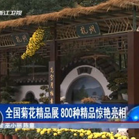 ���ݾջ�������--- ý���æ~~~~