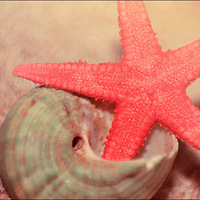 һҶһ���᣺����΢�ྵͷ���������