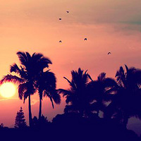 Ψ���⾳ͼƬ���ճ�����