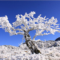 ���ɽ��ʵ������3.5����������ᶬ��