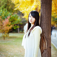 ��������У������ͼ��