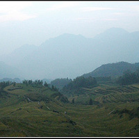 �ƺ�����