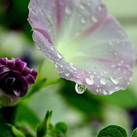 ���ţ�������̬