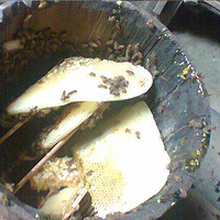 ���������ոո��˼��������ۣ�˭Ҫ