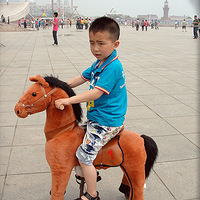 ������ᣨ11��