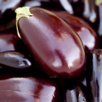 �����ܿ�˥�� ���ӵ��ߴ�Ч������