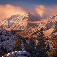 ������������������Ӱ