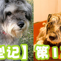 ��������ͼǡ���1�ڣ����˺��������� ֱ��ing...