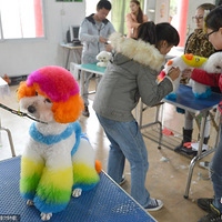 �ɶ����ﴴ�������� �����ˡ�Ũױ��Ĩ�����㳡 