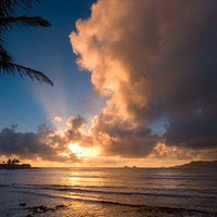 ׳�����ˣ�������Ӱ