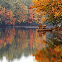 �ٲ����ﾰ����������ζ�����ůɫ��