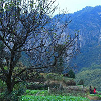 ��ô��Ϥ��ũ������