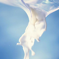 Ȩ����˵��ʳ���е�������˼������Ǽٵģ�����