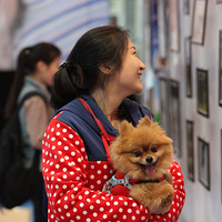 ��������������ѡ����й������ݣ������Ļ�������