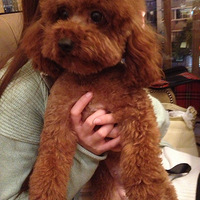 �ӳ������ʧ�İ����ҵ����������긺�����Σ�����