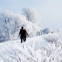 ��������������ڡ�澰 ������ۼ 