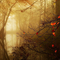 ���ʾ��׵������ּ���Ӱ