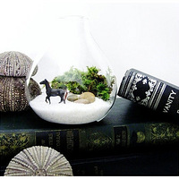 СС����������㴴��