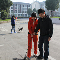 ��Զ��Ѫƴ������ĵ���1117ǧ��������¶Ӫ�ŷɿ����ƻ