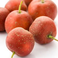 ���ֹ�����Ȼ����֬ҩ��ɽ���÷����