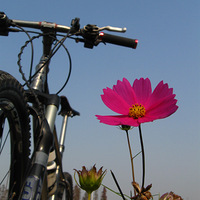 D324�������俵��ɽ��