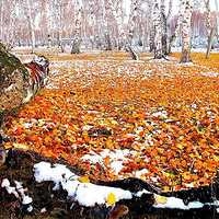 �������������֡�������������