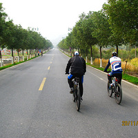 D325 ����侺���é����