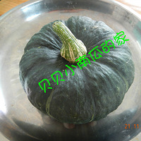 ������������������Ȩ���߲ˣ����ٽ���