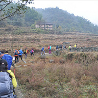 �鶨�书ɽ   ����  ����